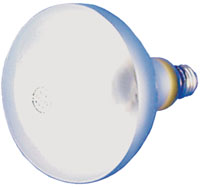 REFLECTOR FLOOD BULB  500w 120v 