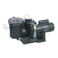 STA-RITE MAX-E-PRO POOL PUMP 2HP PUMP 230V 2" INLET/OUTLET 