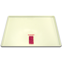 RAMADA INN PRESENTATION TRAY  Rectangular, Packed 1 