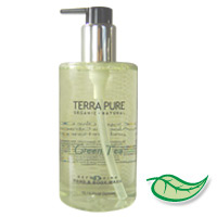 RETAIL SIZE TERRA PURE GREEN TEA ORGANIC BODY & HAND WASH 10.14 oz pump bottle 