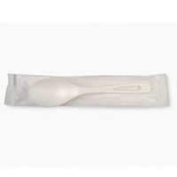 WORLD CENTRIC TPLA COMPOSTABLE SPOON 750 per case 