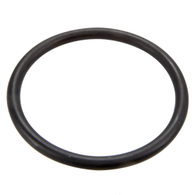 STA-RITE SYSTEM3 O-Ring ea 